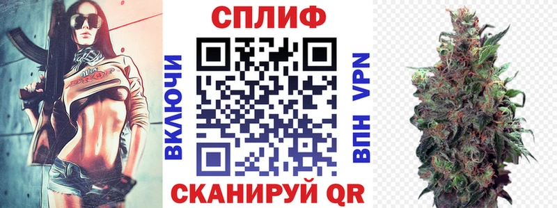 Конопля планчик  Купить закладки  Волгоград 